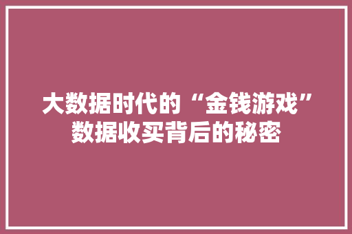 大数据时代的“金钱游戏”数据收买背后的秘密