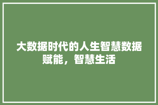 大数据时代的人生智慧数据赋能，智慧生活