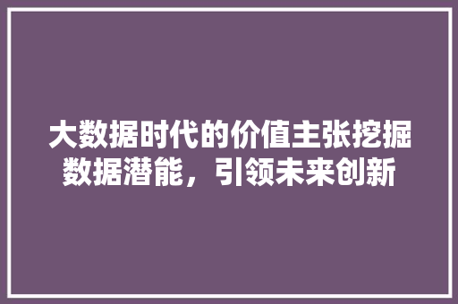 大数据时代的价值主张挖掘数据潜能，引领未来创新