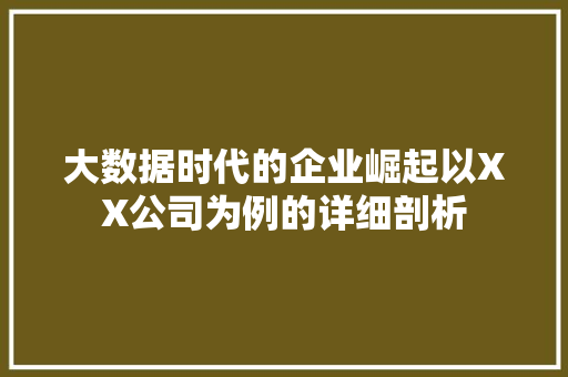 大数据时代的企业崛起以XX公司为例的详细剖析