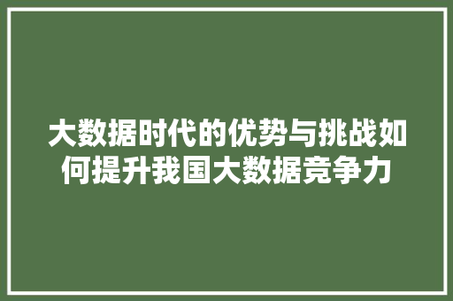 大数据时代的优势与挑战如何提升我国大数据竞争力