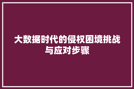 大数据时代的侵权困境挑战与应对步骤