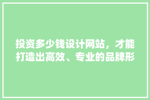 投资多少钱设计网站，才能打造出高效、专业的品牌形象_详细分析网站建设预算