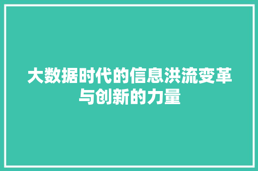 大数据时代的信息洪流变革与创新的力量 友链在线