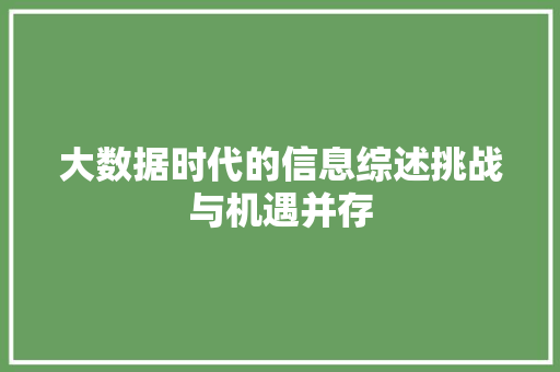 大数据时代的信息综述挑战与机遇并存 友链在线