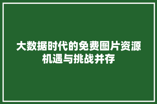 大数据时代的免费图片资源机遇与挑战并存