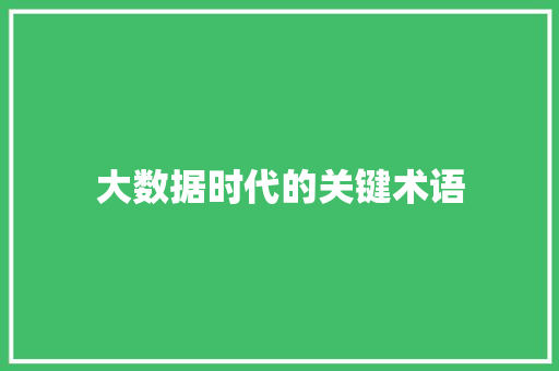 大数据时代的关键术语