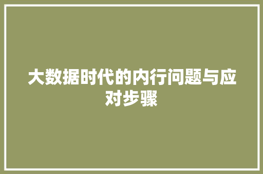 大数据时代的内行问题与应对步骤