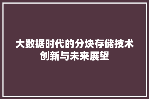 大数据时代的分块存储技术创新与未来展望
