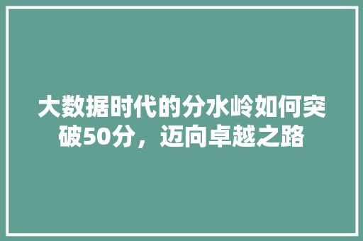 大数据时代的分水岭如何突破50分，迈向卓越之路