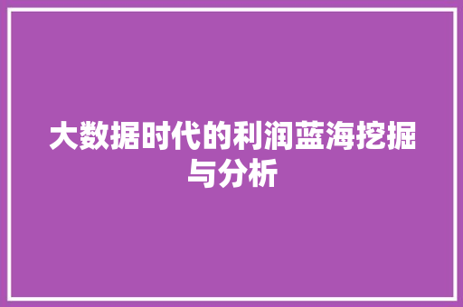 大数据时代的利润蓝海挖掘与分析