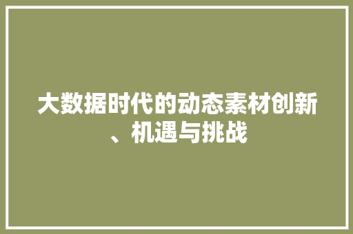 大数据时代的动态素材创新、机遇与挑战