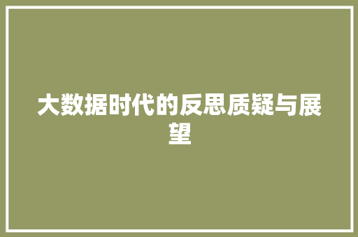 大数据时代的反思质疑与展望