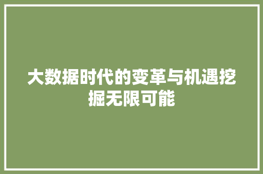 大数据时代的变革与机遇挖掘无限可能