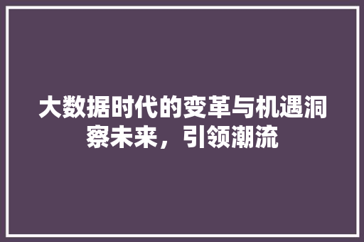 大数据时代的变革与机遇洞察未来，引领潮流
