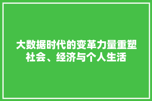 大数据时代的变革力量重塑社会、经济与个人生活