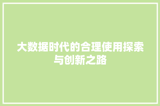 大数据时代的合理使用探索与创新之路