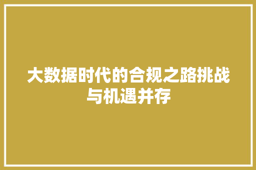 大数据时代的合规之路挑战与机遇并存