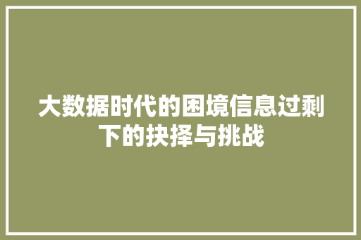 大数据时代的困境信息过剩下的抉择与挑战