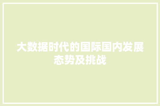 大数据时代的国际国内发展态势及挑战