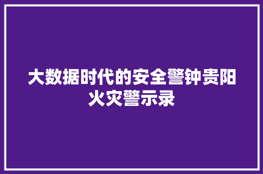 大数据时代的安全警钟贵阳火灾警示录