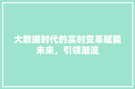 大数据时代的实时变革赋能未来，引领潮流