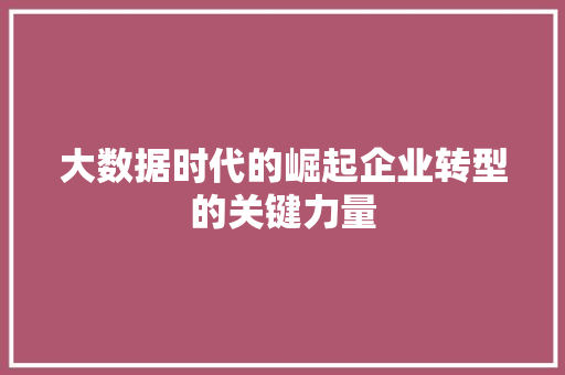 大数据时代的崛起企业转型的关键力量