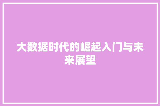 大数据时代的崛起入门与未来展望