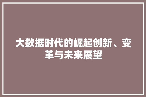 大数据时代的崛起创新、变革与未来展望