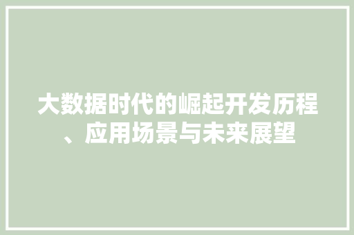 大数据时代的崛起开发历程、应用场景与未来展望