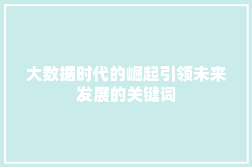 大数据时代的崛起引领未来发展的关键词