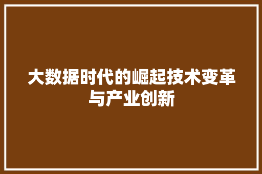 大数据时代的崛起技术变革与产业创新