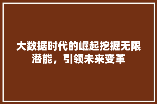 大数据时代的崛起挖掘无限潜能，引领未来变革