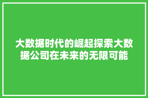 大数据时代的崛起探索大数据公司在未来的无限可能