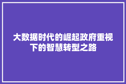 大数据时代的崛起政府重视下的智慧转型之路
