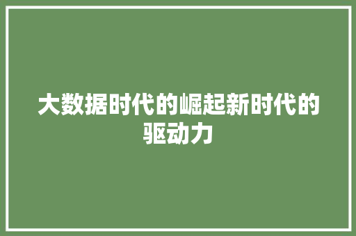 大数据时代的崛起新时代的驱动力