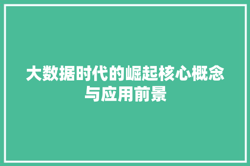 大数据时代的崛起核心概念与应用前景