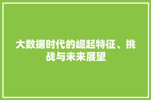 大数据时代的崛起特征、挑战与未来展望