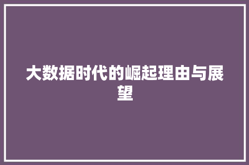 大数据时代的崛起理由与展望