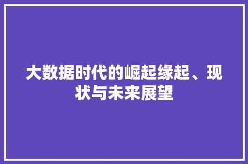 大数据时代的崛起缘起、现状与未来展望