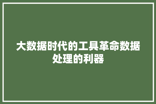 大数据时代的工具革命数据处理的利器