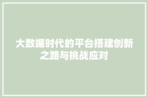 大数据时代的平台搭建创新之路与挑战应对