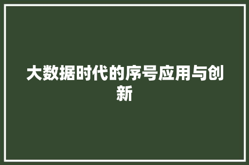 大数据时代的序号应用与创新 WordPress教程