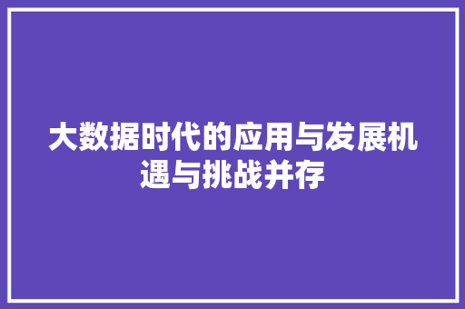 大数据时代的应用与发展机遇与挑战并存 Web前端