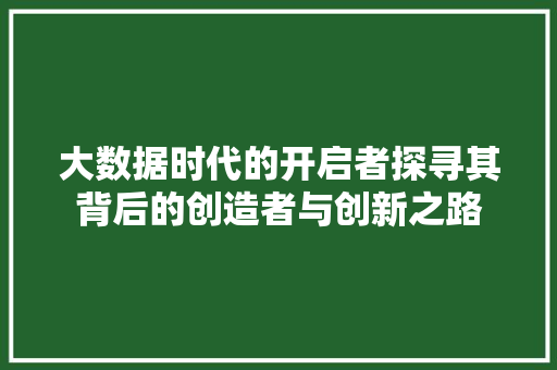 大数据时代的开启者探寻其背后的创造者与创新之路