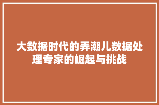 大数据时代的弄潮儿数据处理专家的崛起与挑战 Web前端