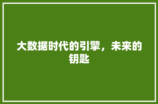大数据时代的引擎，未来的钥匙