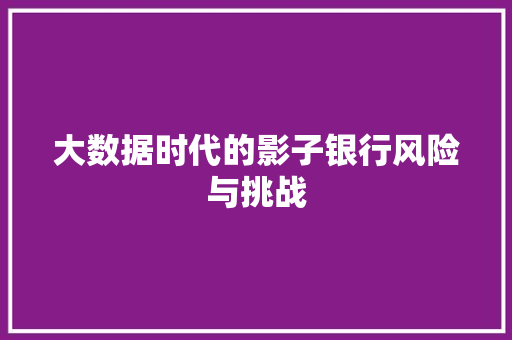 大数据时代的影子银行风险与挑战