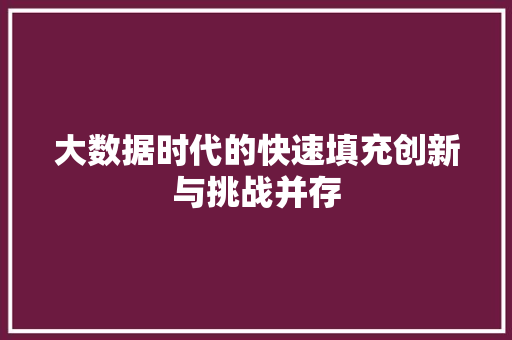 大数据时代的快速填充创新与挑战并存
