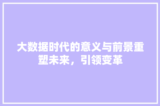 大数据时代的意义与前景重塑未来，引领变革 Web前端